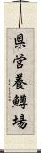 県営養鱒場 Scroll