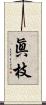 眞枝 Scroll