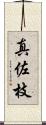 真佐枝 Scroll