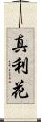 真利花 Scroll