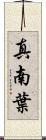 真南葉 Scroll
