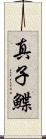真子鰈 Scroll