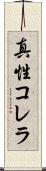 真性コレラ Scroll