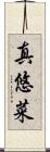 真悠菜 Scroll