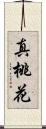 真桃花 Scroll