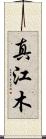 真江木 Scroll