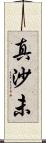 真沙未 Scroll