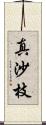 真沙枝 Scroll