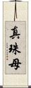 真珠母 Scroll