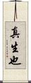 真生也 Scroll