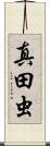 真田虫 Scroll