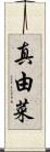 真由菜 Scroll