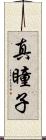 真瞳子 Scroll