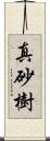 真砂樹 Scroll
