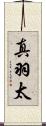 真羽太 Scroll