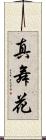 真舞花 Scroll