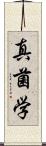 真菌学 Scroll