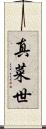 真菜世 Scroll