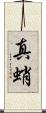 真蛸 Scroll