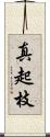 真起枝 Scroll