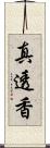 真透香 Scroll