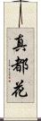真都花 Scroll