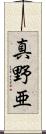 真野亜 Scroll