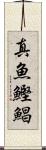 真魚鰹 Scroll