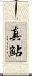真鮎 Scroll
