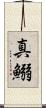 真鰯 Scroll