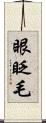 眼眨毛 Scroll