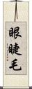 眼睫毛 Scroll