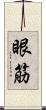 眼筋 Scroll