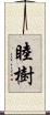 睦樹 Scroll