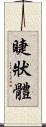睫狀體 Scroll