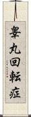 睾丸回転症 Scroll