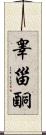 睾甾酮 Scroll