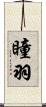 瞳羽 Scroll
