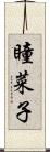 瞳菜子 Scroll