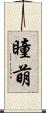 瞳萌 Scroll
