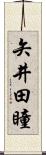 矢井田瞳 Scroll