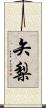矢梨 Scroll