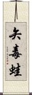 矢毒蛙 Scroll