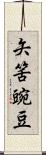 矢筈豌豆 Scroll