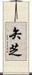 矢芝 Scroll