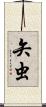矢虫 Scroll