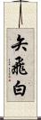 矢飛白 Scroll