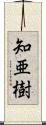 知亜樹 Scroll