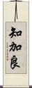 知加良 Scroll