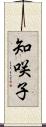 知咲子 Scroll